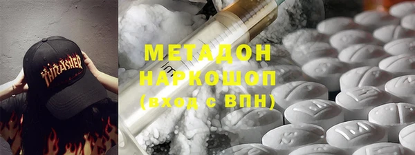 прущие грибы Верхний Тагил