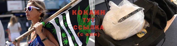 ГАЛЛЮЦИНОГЕННЫЕ ГРИБЫ Верхнеуральск