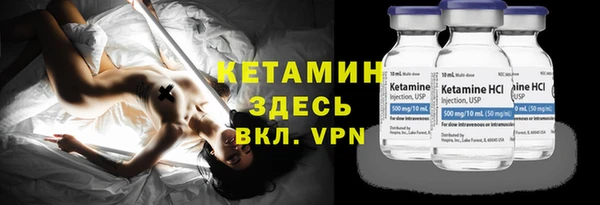 прущие грибы Верхний Тагил