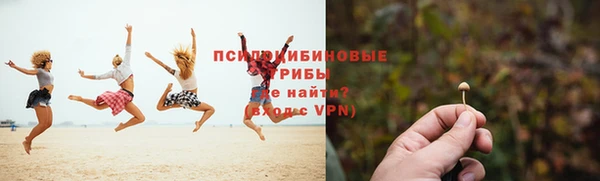 прущие грибы Верхний Тагил