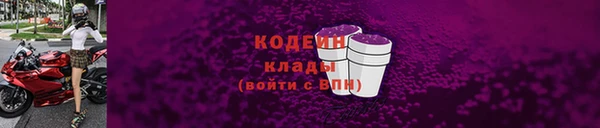 прущие грибы Верхний Тагил