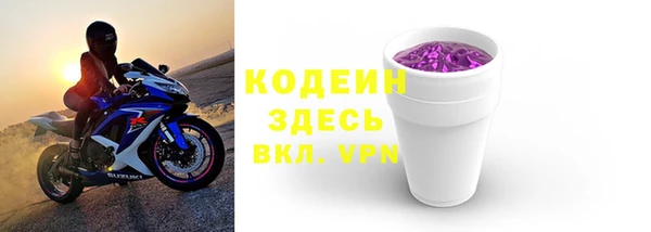 прущие грибы Верхний Тагил