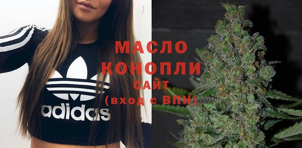 прущие грибы Верхний Тагил