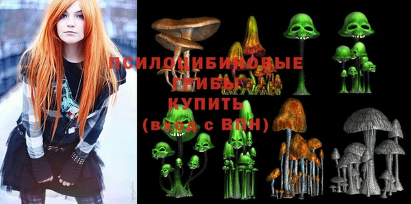 mdpv Верея