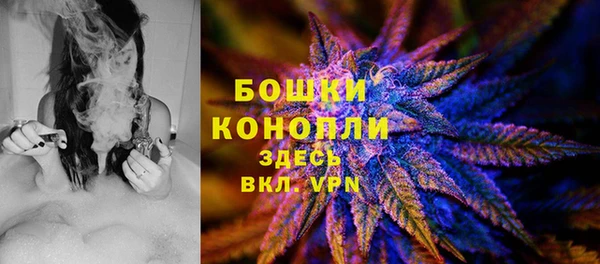 прущие грибы Верхний Тагил