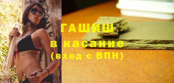 прущие грибы Верхний Тагил