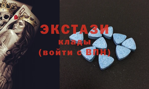 прущие грибы Верхний Тагил
