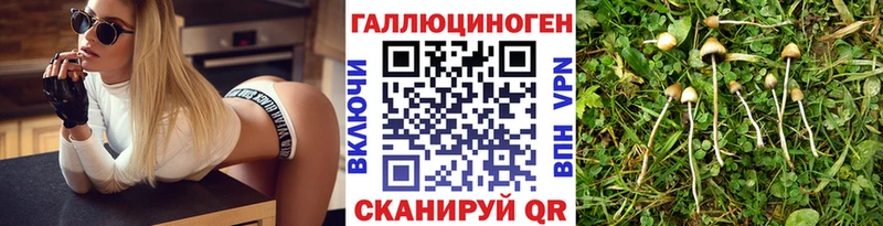 Галлюциногенные грибы ЛСД Луга